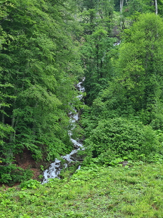 Красная поляна
